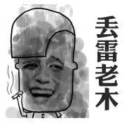 丢雷老木