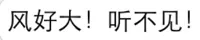 风好大！听不见！
