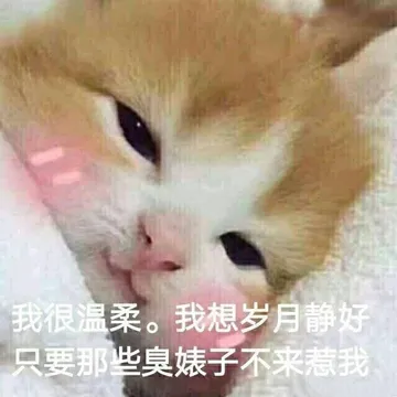 敲级萌~~~