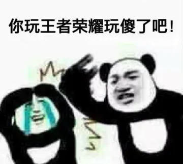 你玩王者荣耀玩傻了吧!