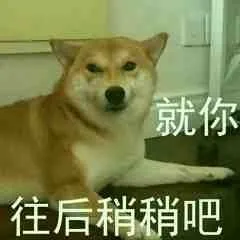 柴犬斗图表情包