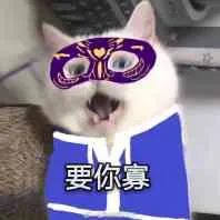 要你寡（猫咪）