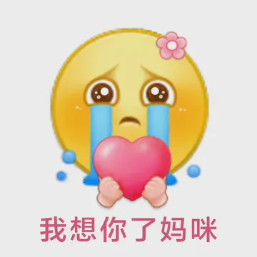 我想你了妈咪