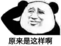 原来是这样啊（熊猫）