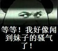 等等！我好像闻到了妹子的骚气