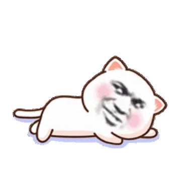 猫猫