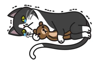 黑猫抱宠物娃娃睡觉