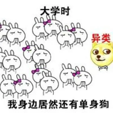 大学时，他们觉得我是异类，“我身边居然还有单身狗”
