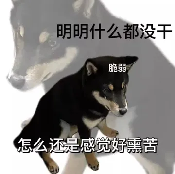 明明什么都没干脆弱怎么还是感觉好熏苦