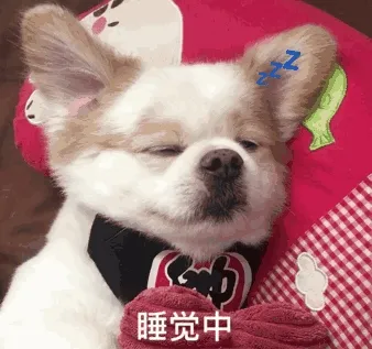 睡觉中（呆萌乖乖狗）