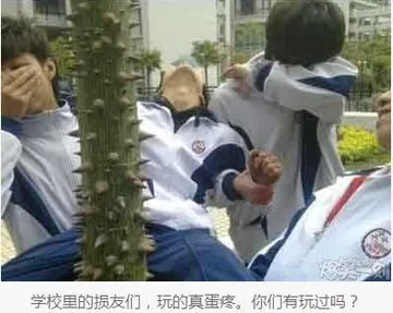 学校里的损友们，玩的真蛋疼。你们有玩过吗？