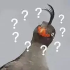 疑问