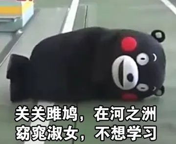 关关雎鸠，在河之洲 窈窕淑女，不想学习