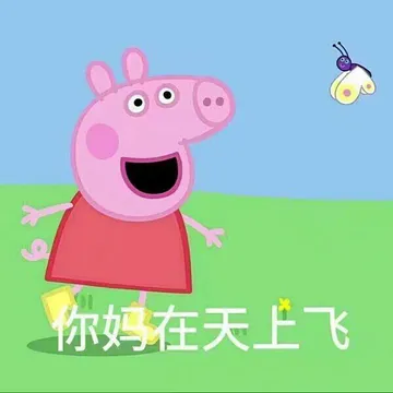 佩奇V