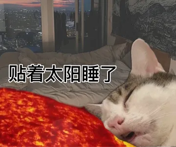 贴着太阳睡了