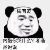 梅有乾内酷你哭什么?和爸爸说说