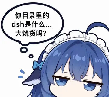 你目录里的dsh是什么