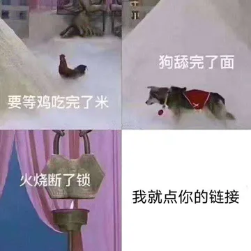 狗舔完了面要等鸡吃完了米火烧断了锁我就点你的链接