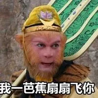 我一芭蕉扇扇飞你