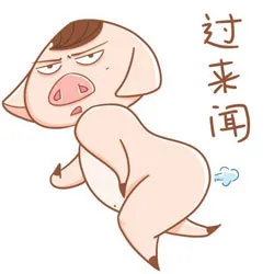 过来闻