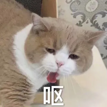 呕
