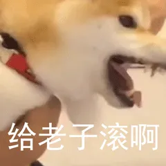 柴犬小Q来斗图