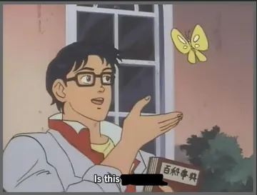 Is this a pigeon?