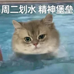 周二划水精神堡垒