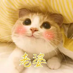 老婆!