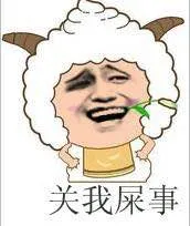 喜羊羊与灰太狼:懒羊羊关我屎事