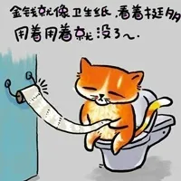 金钱就像卫生纸，看着挺多用着用着就没了