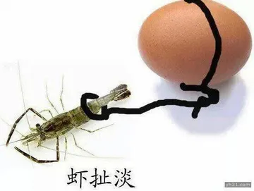 虾扯蛋