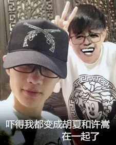 吓得我都变成胡夏和放嵩在一起了
