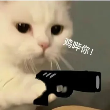 鸡哔你！(猫猫表情包)