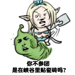 你不参团是在峡谷里贴瓷砖吗?