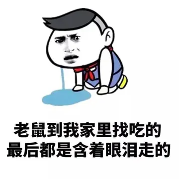 老鼠到我家里找吃的，最后都是含着眼泪走的