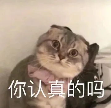 你认真的吗
