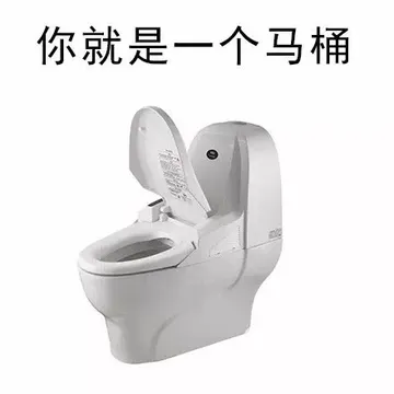 你就是应该马桶