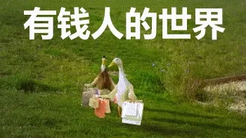有钱人的世界