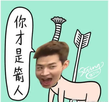 你才是箭人