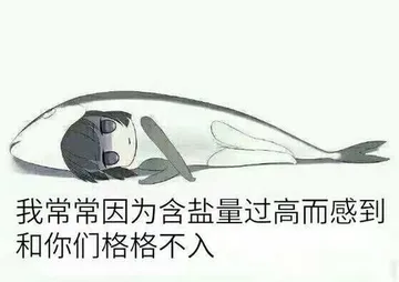 我常常因为含盐量过高而感到和你们格格不入