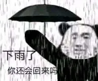 下雨了你还会回来吗