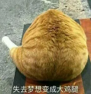 失去梦想变成大鸡腿