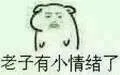 老子有小情绪了