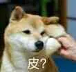 狗子：皮