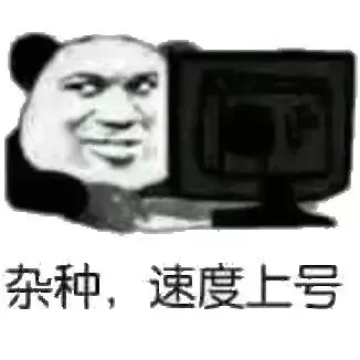 杂种.速度上号