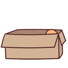 偷看