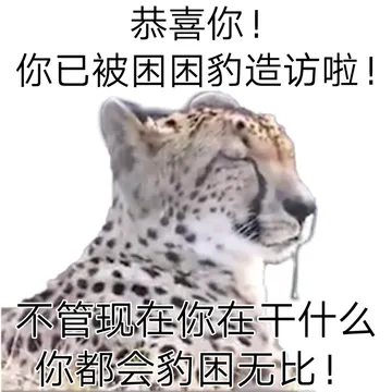 恭喜你!你已被困困豹造访啦!不管现在你在干什么你都会豹困无比!
