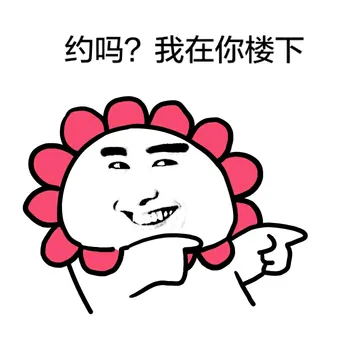 约吗？我在你楼下（太阳花）
