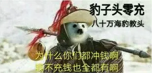 豹子头零冲